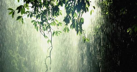 barish background hd|More.